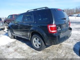 Ford Escape Xlt 1FMCU93749KB21528 снимка