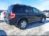 Ford Escape Xlt 1FMCU93749KB21528 снимка