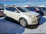 Ford Escape Se 1FMCU9G99EUC32506 fotografie
