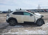 Mazda Cx-30 Premium 3MVDMBDL7MM206651 снимка