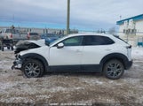 Mazda Cx-30 Premium 3MVDMBDL7MM206651 снимка