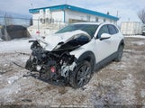 Mazda Cx-30 Premium 3MVDMBDL7MM206651 снимка