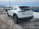 Mazda Cx-30 Premium 3MVDMBDL7MM206651 снимка