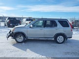 Honda Cr-V Se/Ex JHLRD78956C814680 снимка