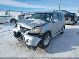 Honda Cr-V Se/Ex JHLRD78956C814680 снимка