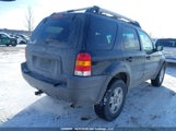 Ford Escape Xlt 1FMYU04162KB84177 снимка