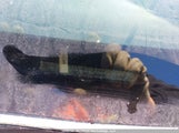 Toyota Corolla Ce 2T1BU4EE2AC223320 снимка