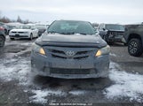 Toyota Corolla S/Le 2T1BU4EE9CC844427 снимка