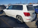 Mercedes-Benz Glk 250 Bluetec WDCGG0EB9EG199451 photo