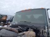 International Terrastar 1HTJSSKK8CH696799 снимка