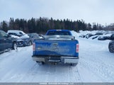 Ford F-150 Lariat/Xl/Xlt 1FTPX14V99FB04146 снимка