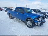 Ford F-150 Lariat/Xl/Xlt 1FTPX14V99FB04146 fotografie
