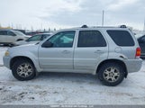 Ford Escape Limited 1FMCU94145KA38489 снимка