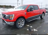 Ford F-150 Xlt 1FTFW1E82PKD74332 снимка