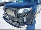 Kia Sorento Sx/Sx Limited 5XYKWDA77EG533393 photo