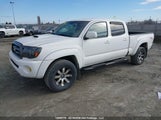 Toyota Tacoma V6 5TEMU52N28Z545186 photo