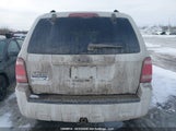 Ford Escape Xlt 1FMCU03G59KD12659 снимка