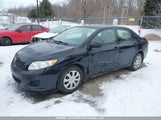 Toyota Corolla S/Le/Xle 2T1BU4EE1AC401038 снимка