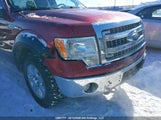 Ford F-150 Xlt 1FTFX1EFXEFA87533 снимка