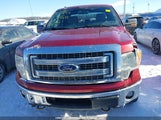 Ford F-150 Xlt 1FTFX1EFXEFA87533 снимка