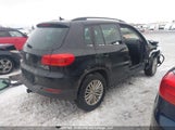 Volkswagen Tiguan Comfortline/Highline/Special Edition/Trendline WVGJV7AX0FW613117 fotografie