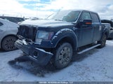 Ford F-150 Fx4/Harley-Davidson/Lariat/Xlt 1FTFW1EV9AFA79847 снимка