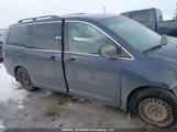Honda Odyssey Ex-L 5FNRL386X8B506263 снимка