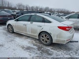 Hyundai Sonata Sport/Limited 5NPE34AF1GH413145 fotografie