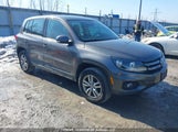 Volkswagen Tiguan S/Se/Sel WVGBV7AXXCW002155 fotografie