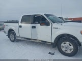Ford F-150 Xlt 1FTFW1ET9EKF84136 снимка