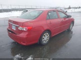 Toyota Corolla S/Le 2T1BU4EE7CC916659 fotografie
