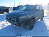 Jeep Cherokee Trailhawk 1C4PJMBS4GW298478 снимка