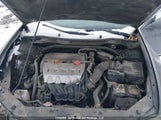Acura Tsx JH4CU2F44CC801491 снимка