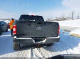 Ford F-150 Xlt 1FTEW1EP0JFA99384 снимка