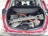 Toyota Rav4 Xle 2T3RFREV3JW819192 снимка