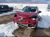 Toyota Rav4 Xle 2T3RFREV3JW819192 снимка