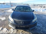 Honda Accord Ex-L 1HGCP2F87BA803999 снимка