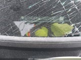 Toyota Corolla JTNK4MBE9R3221052 снимка