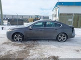 Acura Tl 19UUA9F56AA800241 снимка