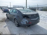 Acura Tl 19UUA9F56AA800241 снимка