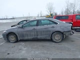 Toyota Camry Hybrid Se 4T1BD1FK7HU225186 fotografie