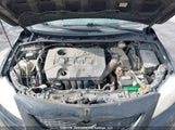 Toyota Corolla Le 2T1BU4EE7AC207338 fotografie
