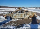 Honda Civic Si Si 2HGFG4A55CH100913 снимка