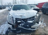 Cadillac Srx Luxury And Performance Collection 3GYFNEEY7BS582675 снимка