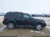 Ford Escape Xlt Automatic 1FMCU9D7XBKA15766 photo