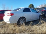 Toyota Corolla S/Le 2T1BU4EE7DC050687 снимка