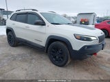 Jeep Cherokee Trailhawk 1C4PJMBXXKD175168 снимка