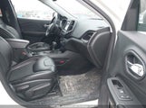 Jeep Cherokee Trailhawk 1C4PJMBXXKD175168 снимка