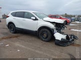 Honda Cr-V Lx 2HKRW2H2XLH212435 photo
