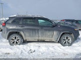 Jeep Cherokee 1C4PJMBS6GW224219 снимка